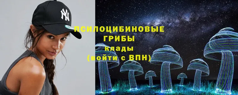 Псилоцибиновые грибы Psilocybe  закладка  Шахты 